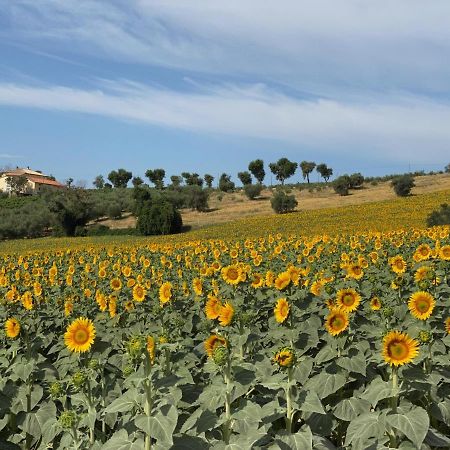 Girasole Διαμέρισμα San Marcello  Εξωτερικό φωτογραφία