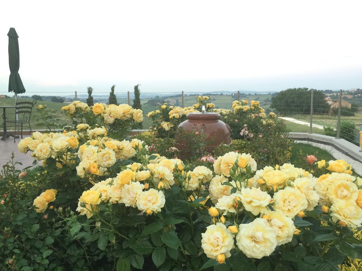 Girasole Διαμέρισμα San Marcello  Εξωτερικό φωτογραφία