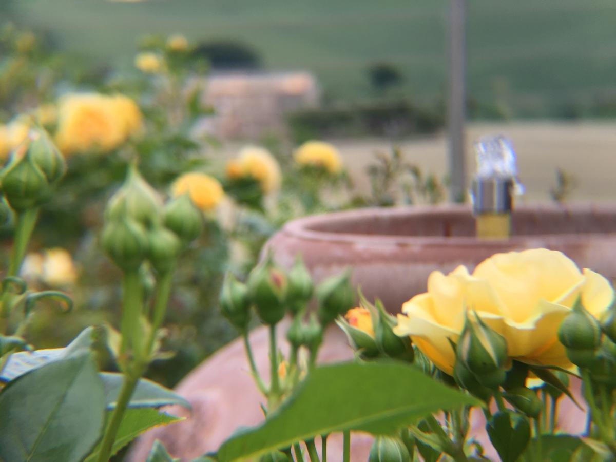 Girasole Διαμέρισμα San Marcello  Εξωτερικό φωτογραφία